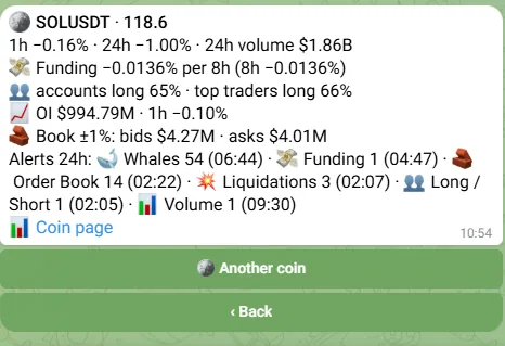 The /coin SOL snapshot: price, funding, long/short, OI, order book and alerts of the last 24 hours